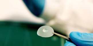 Desarrollan un bioplástico a partir de celulosa resistente al aceite