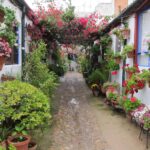 Más de medio centenar de patios compiten por ser el más bonito de Córdoba
