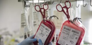 Llamamiento urgente a la solidaridad en Sevilla: necesitan donantes de sangre