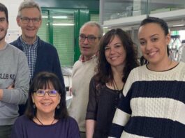 Descubren una de las razones por las que mueren neuronas por el Párkinson