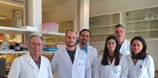 Utilizan ratas para conocer por qué los jóvenes beben de manera compulsiva